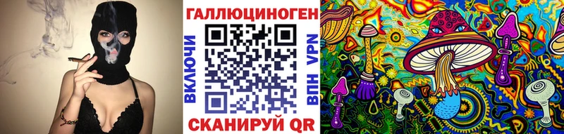 Галлюциногенные грибы Psilocybe  кракен вход  Болохово 
